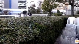 亚洲av一综合av一区㊙️➕无码专区少妇视频